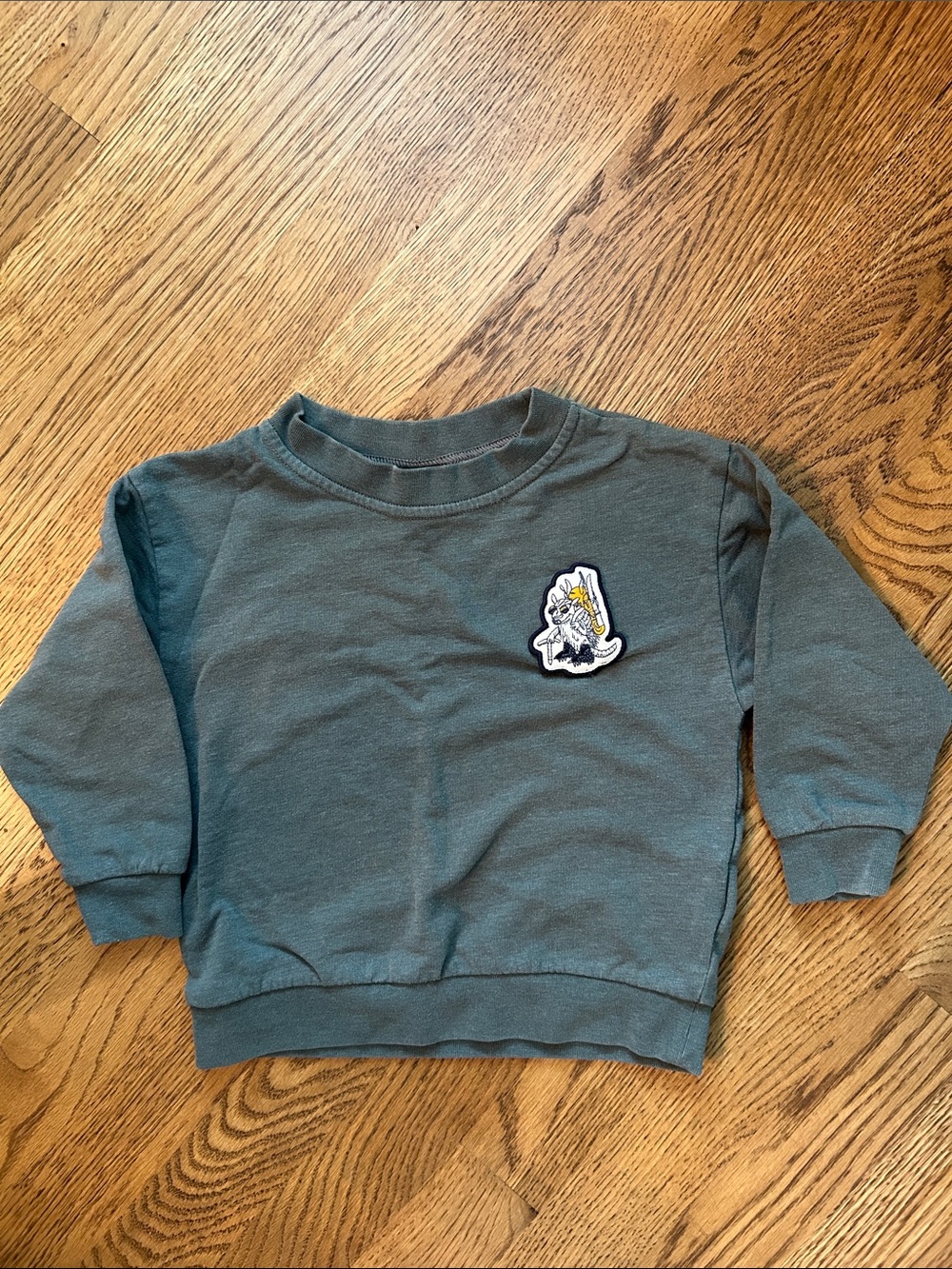 Patagonia Baby Crew Sweatshirt